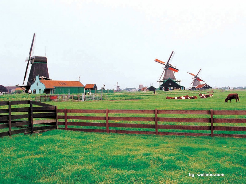 风车之国+荷兰+荷兰旅游风景壁纸