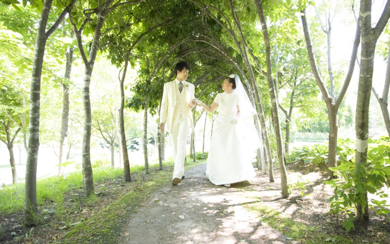 幸福小夫妻 公园里的白色婚礼 婚纱摄影壁纸图