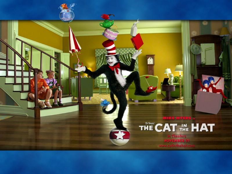魔法灵猫+戴帽子的猫